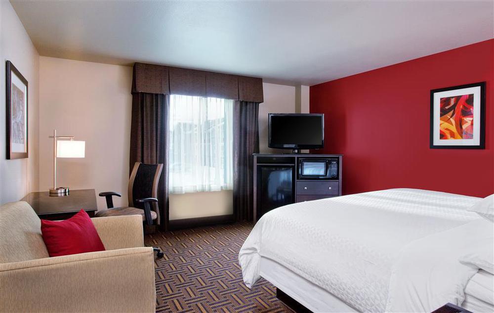 Sonesta Essential Minot Hotell Rum bild